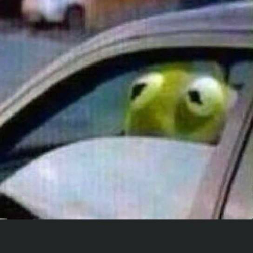 Meet your Posher, Blayke